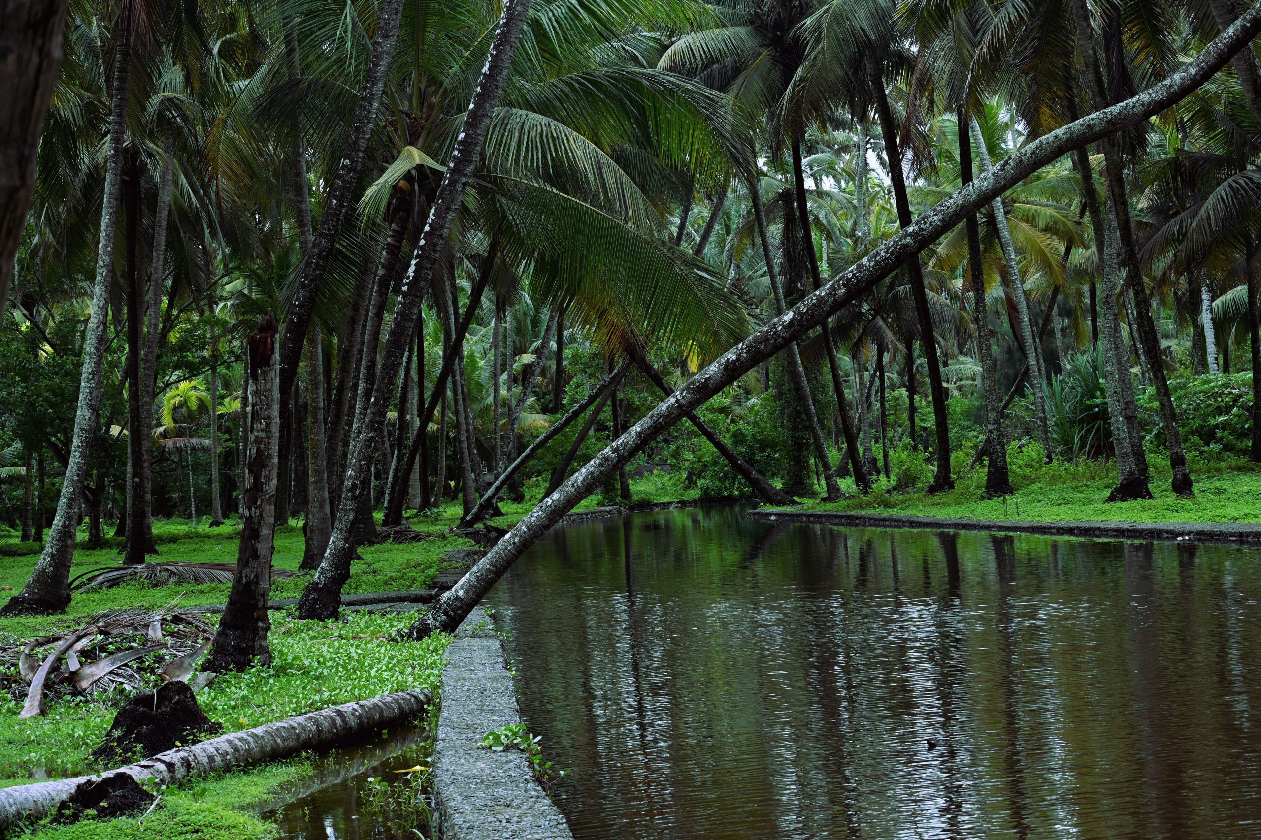 Kerala