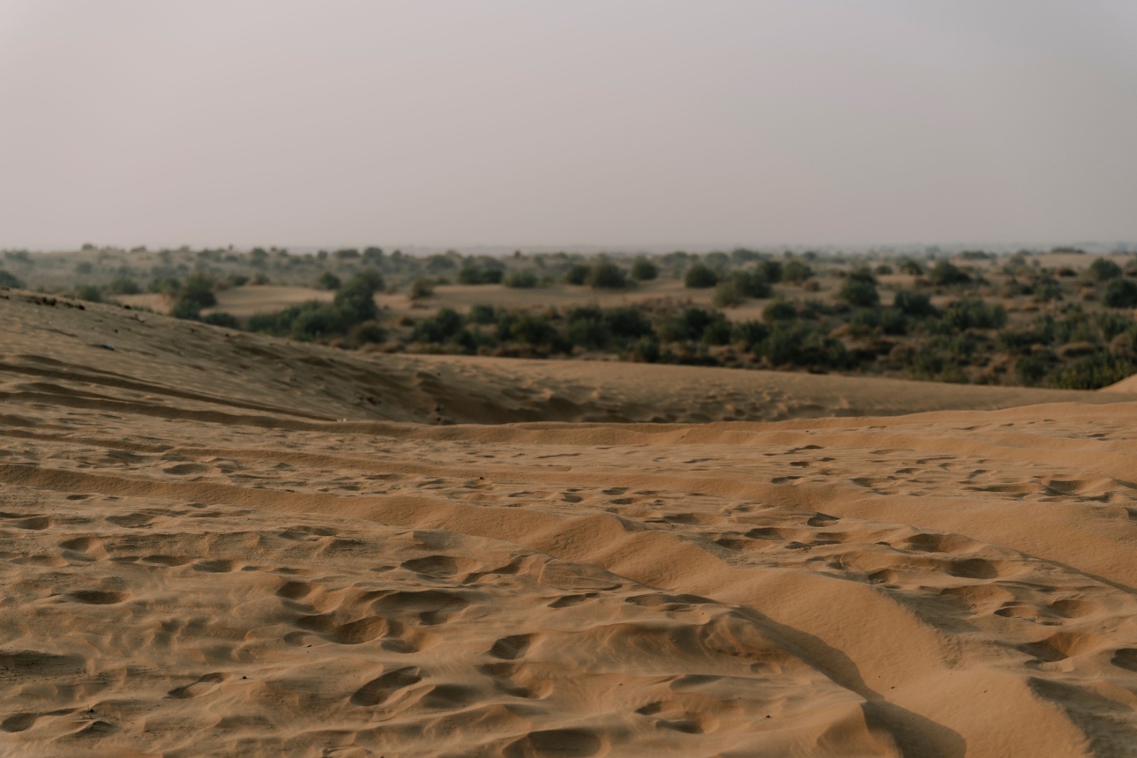 Rajasthan