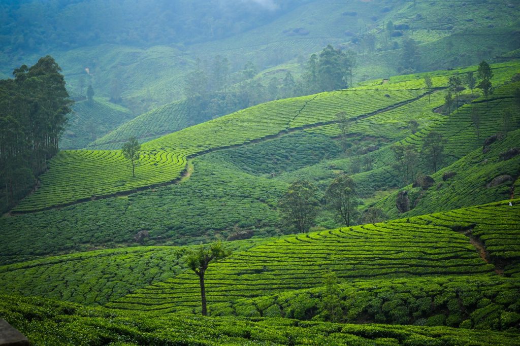Travel Destination